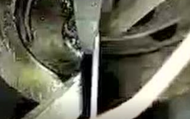 三和彈簧(huang)--不鏽鋼拉(lā)簧 三(sān)和彈簧--不(bú)鏽鋼拉簧(huang)